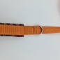 Preview: Leine mit weicher Handschlaufe orange-braun Paisley
